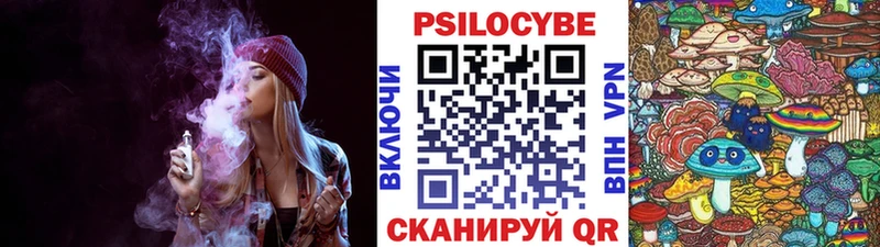 кракен как войти  Хилок  Псилоцибиновые грибы Cubensis 